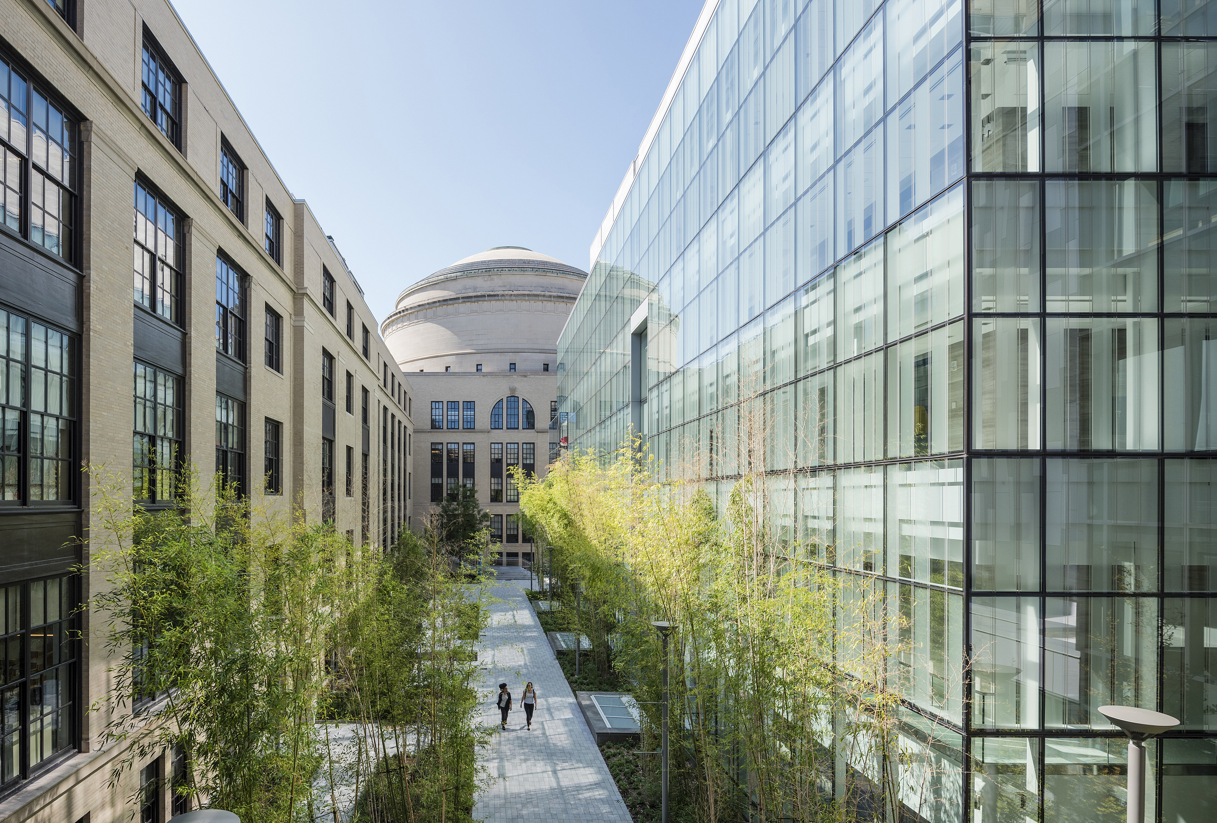 a walkway between two buildings